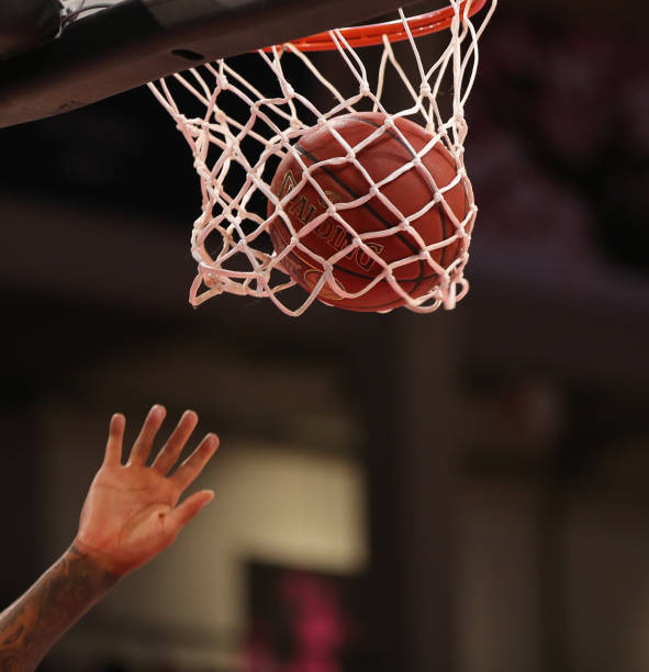 纳达尔以其 纳达尔以其